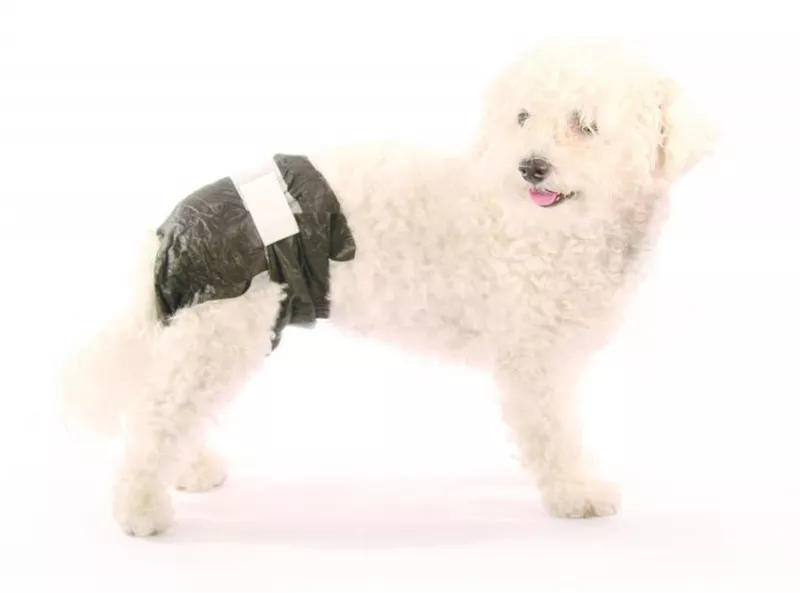 Einwegwindeln Doggy Pamys Gr. XXL,